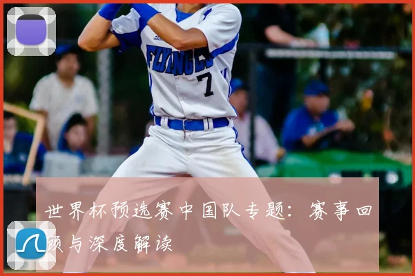 世界杯预选赛中国队专题:赛事回顾与深度解读