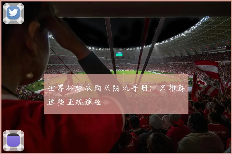 世界杯球衣购买防坑手册:只推荐这些正规途径