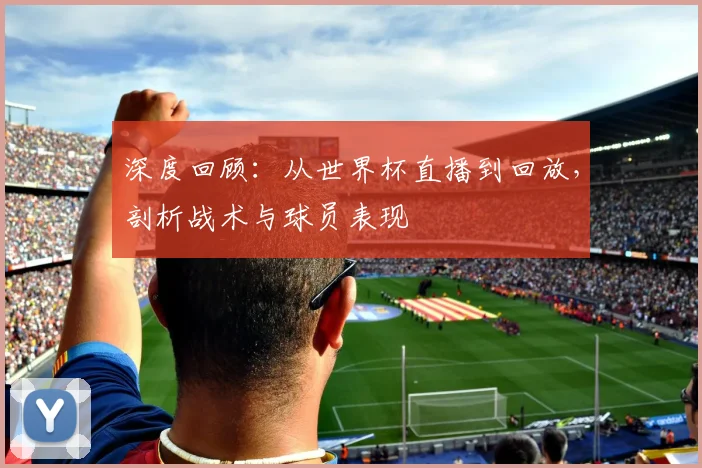 深度回顾：从世界杯直播到回放，剖析战术与球员表现